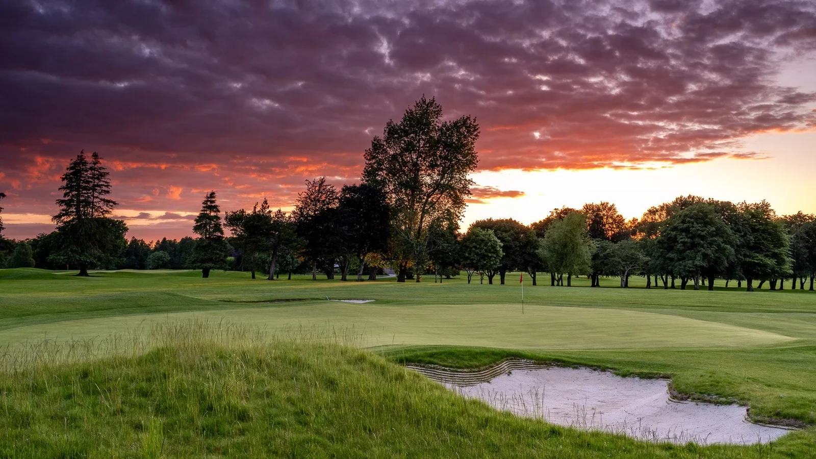 Limerick Golf Club
