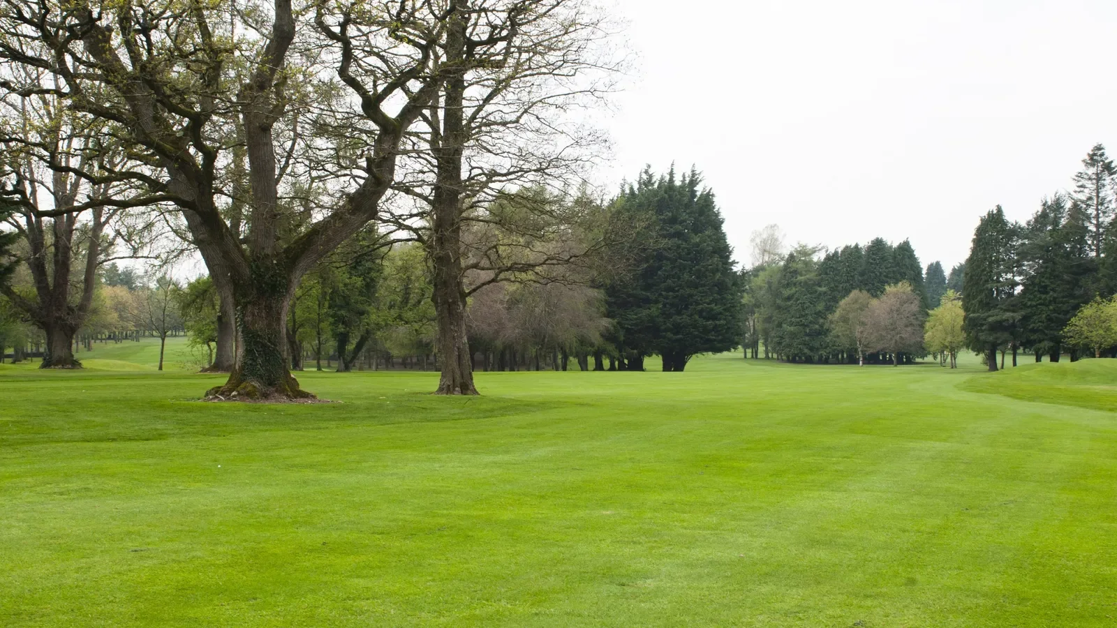 Royal Tara Golf Club