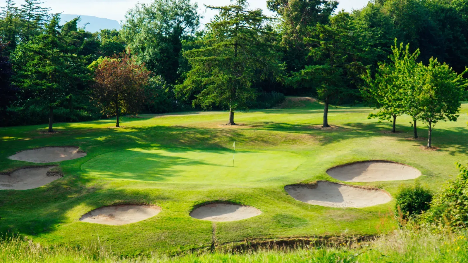 Shandon Park Golf Club