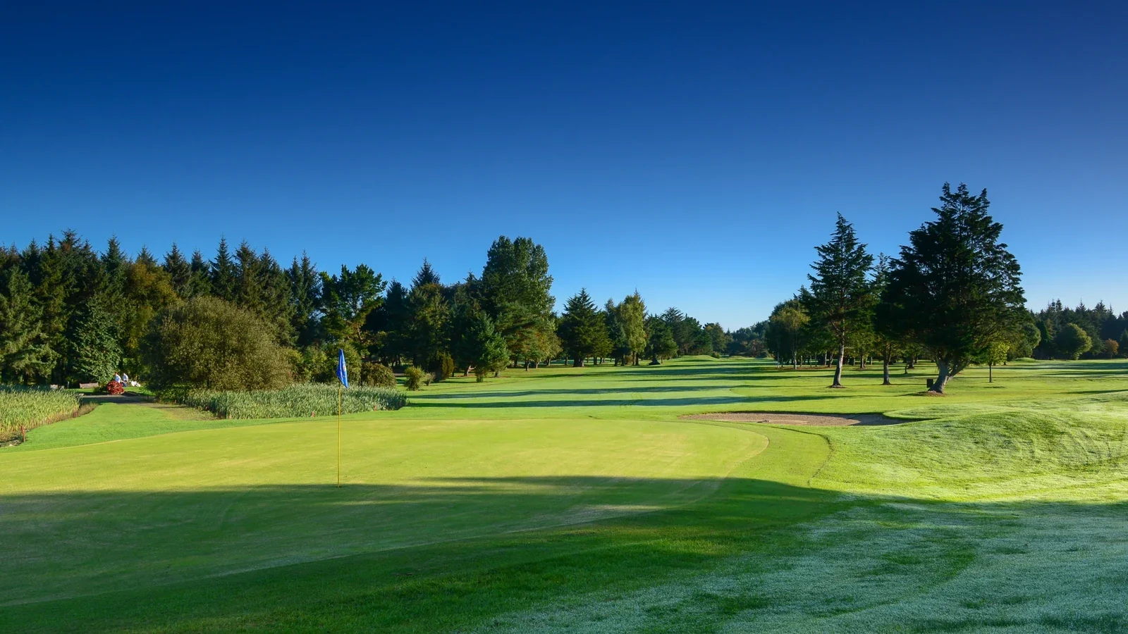 Shannon Golf Club